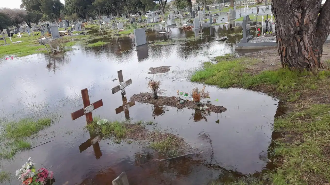 Heavy rains left the dead swimming